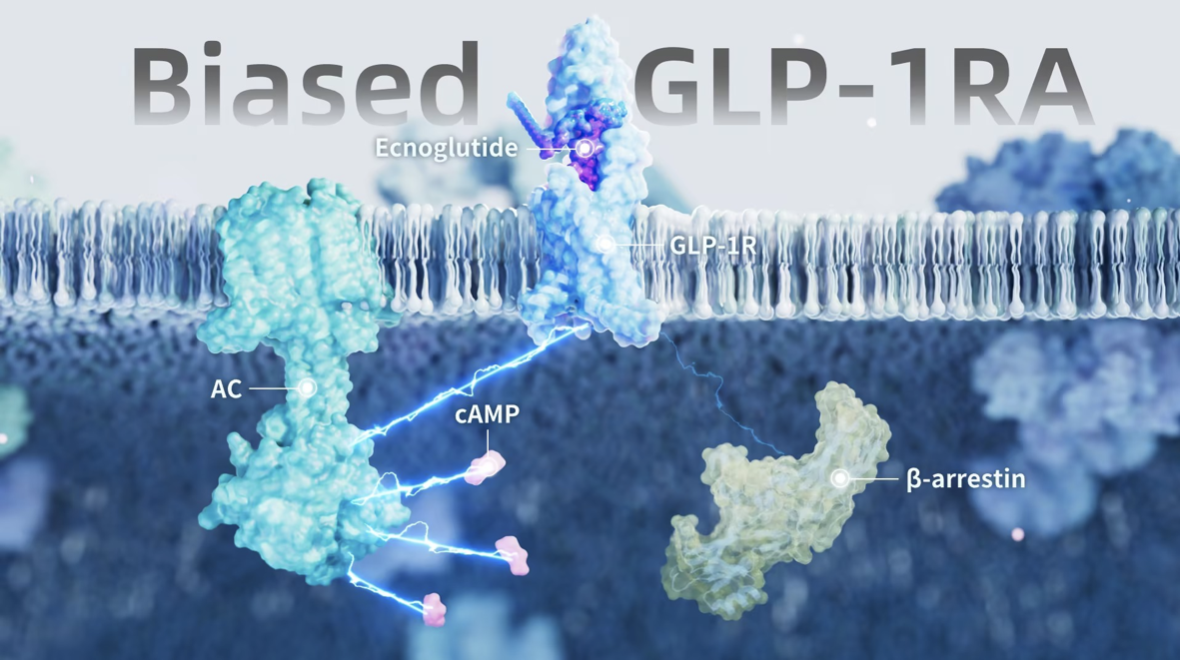 glp-1ra.png glp-1ra.png